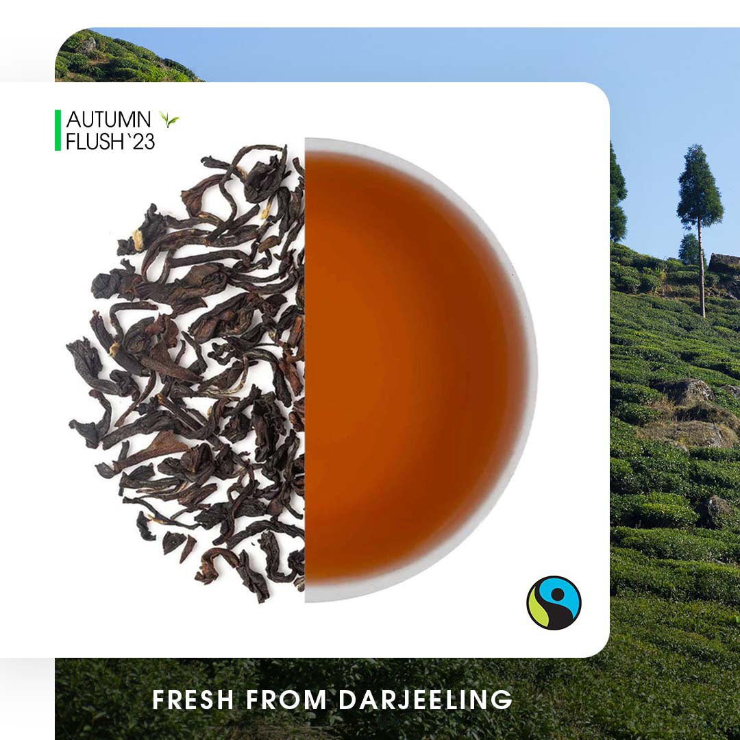 Darjeeling Seeyok  Autumn Chinary Black