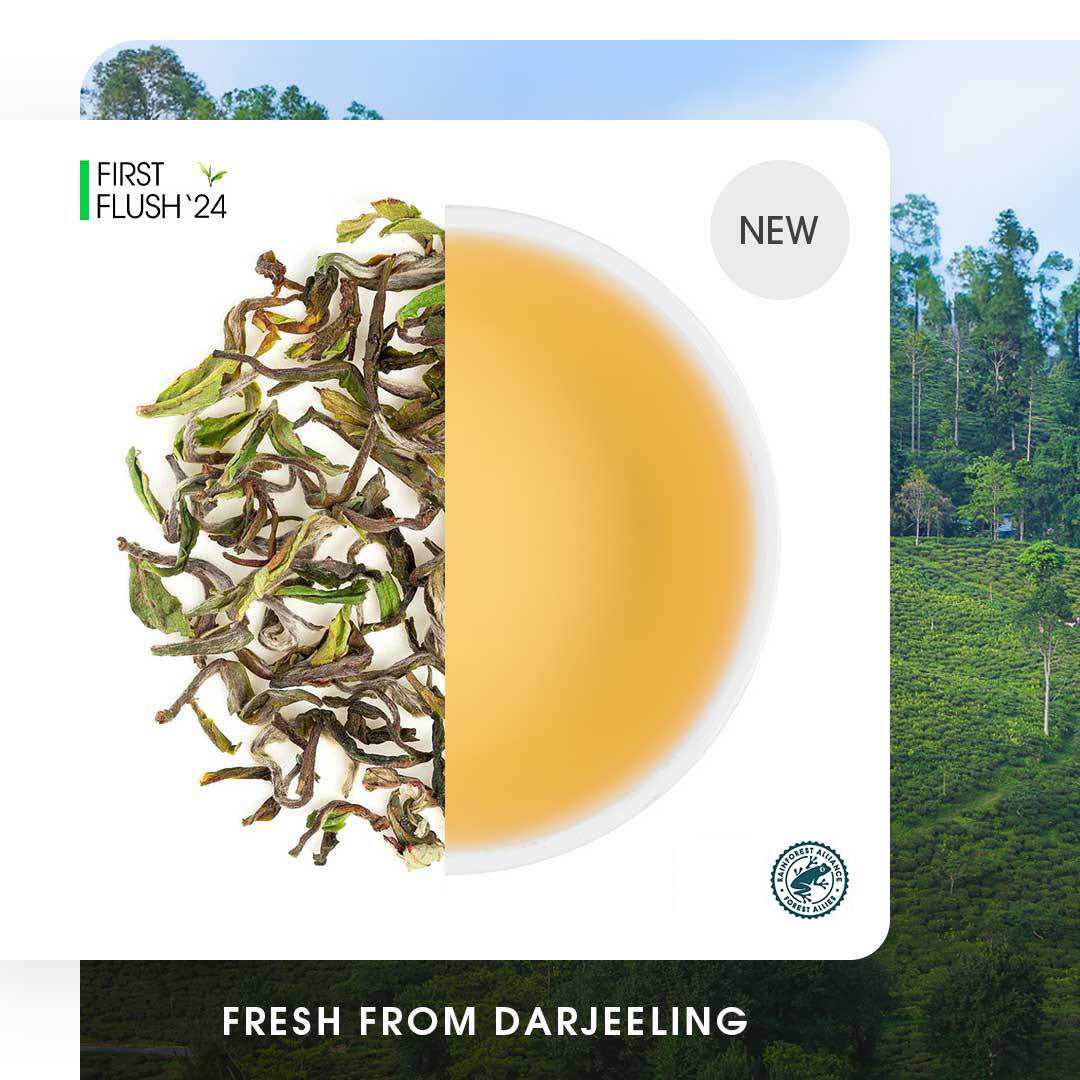 Darjeeling Singbulli Spring Flowery Oolong