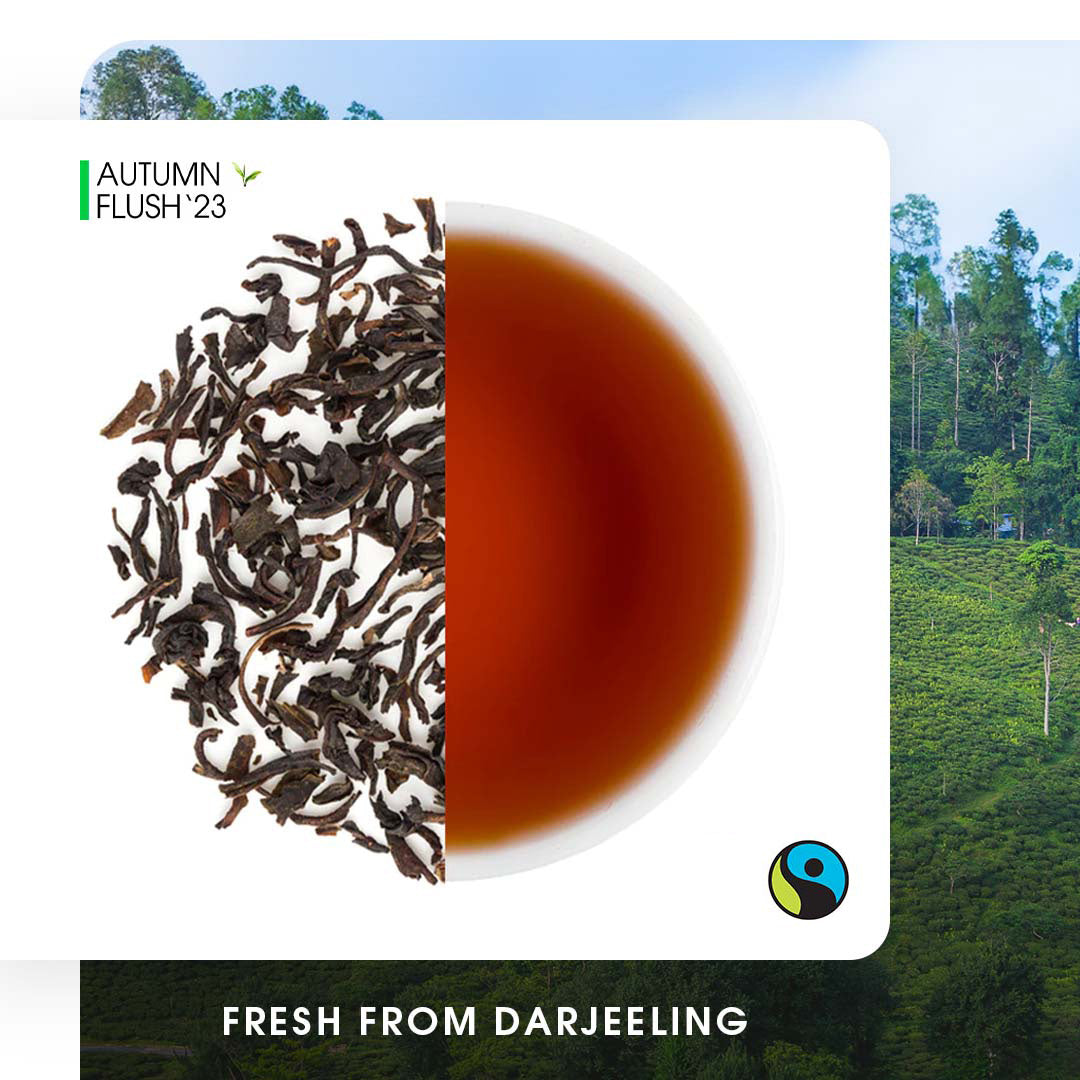 Darjeeling Singell Autumn Chinary Black