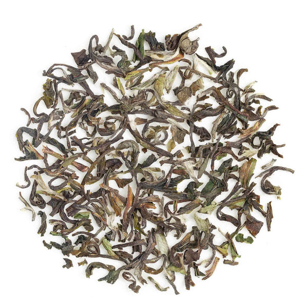 Darjeeling Singell Spring Chinary Black