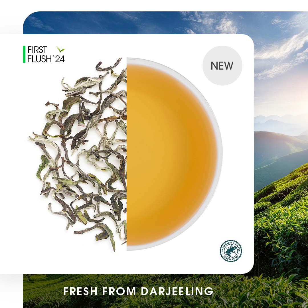 Darjeeling Snowview Spring Clonal Black