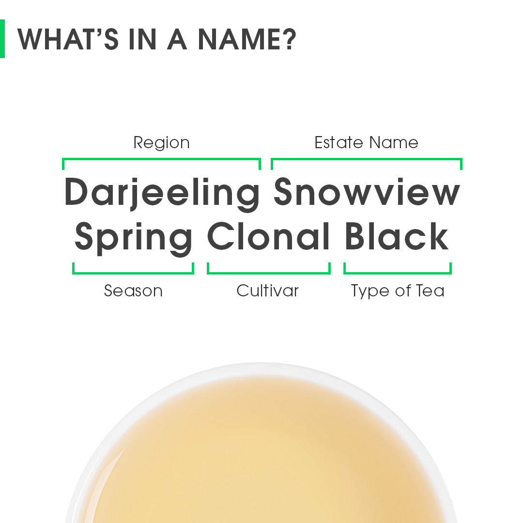 Darjeeling Snowview Spring Clonal Black