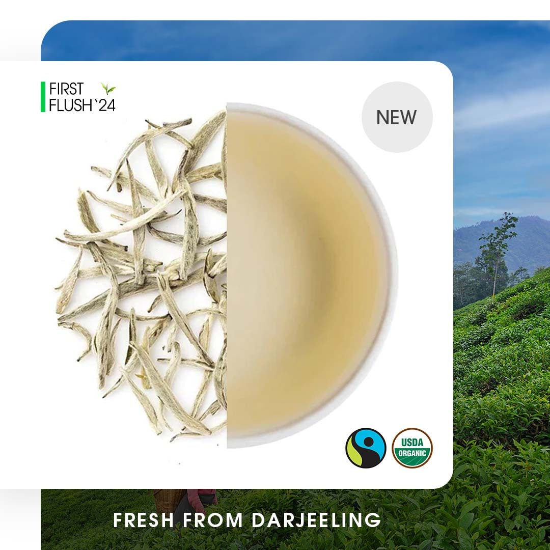 Darjeeling Special Spring Silver Needle White