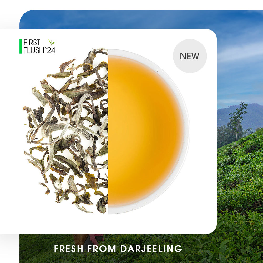 Buy First Flush Darjeeling Tea Online | 2024 Harvest | Teabox