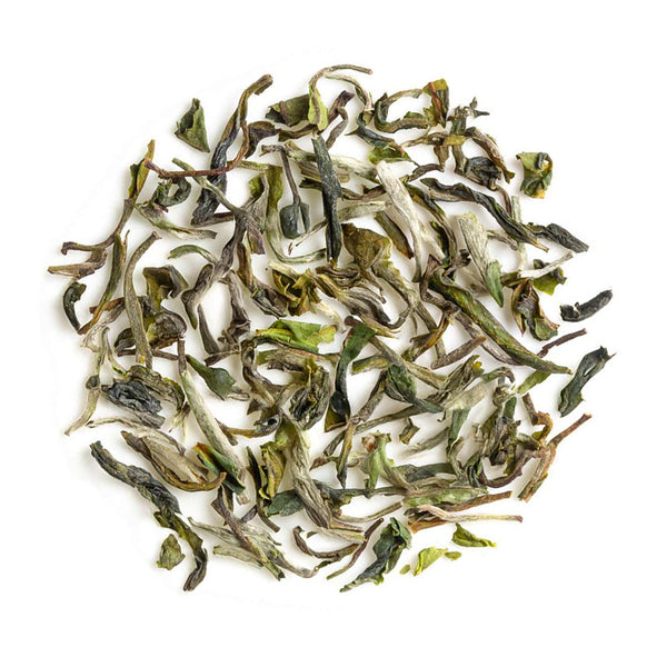 Darjeeling Thurbo Spring Moonlight White