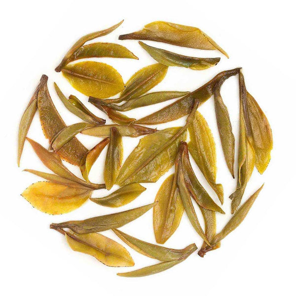 Darjeeling Turzum Spring Moonlight White