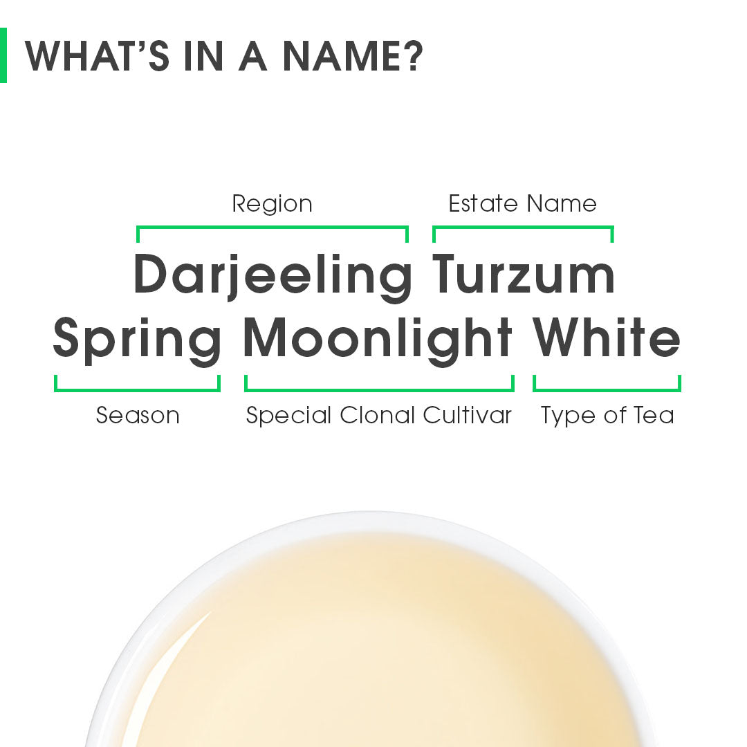 Darjeeling Turzum Spring Moonlight White