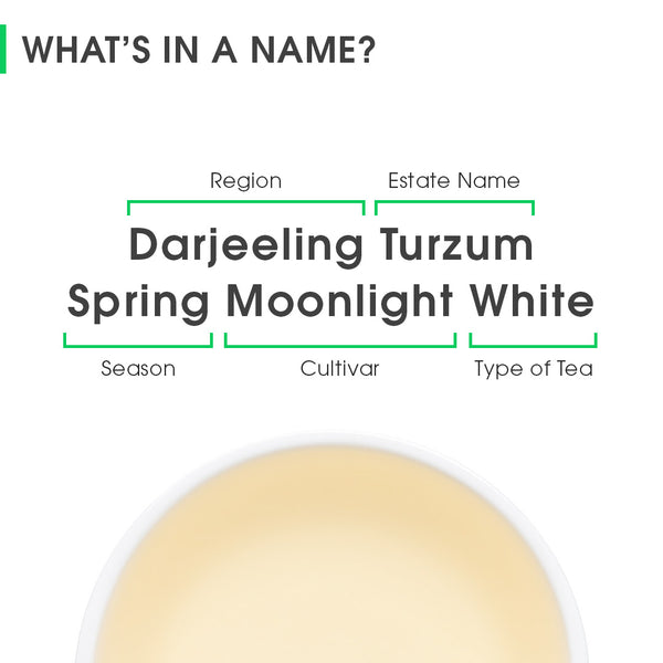 Darjeeling Turzum Spring Moonlight White