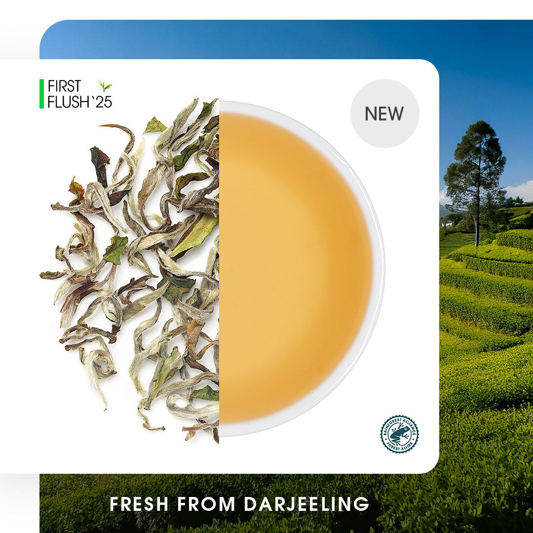 Darjeeling Upper Namring Spring Clonal Black (Limited Edition)