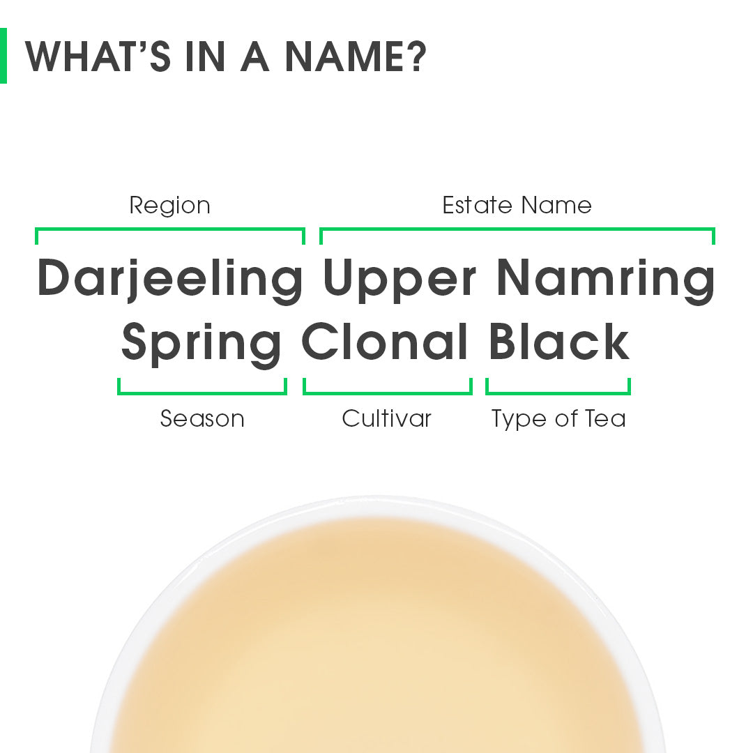 Darjeeling Upper Namring Spring Clonal Black (Limited Edition)