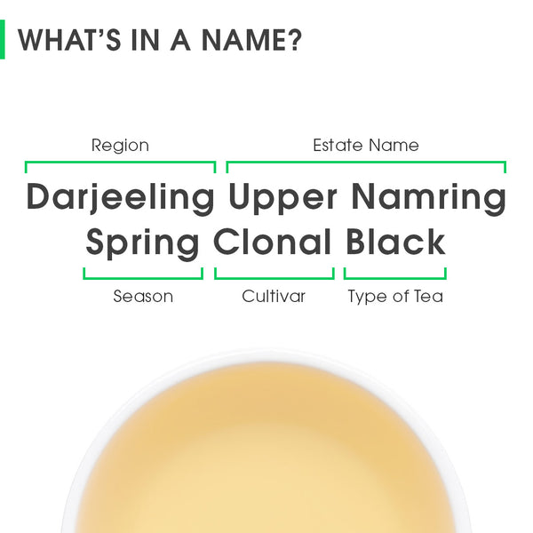 Darjeeling Upper Namring Spring Clonal Black (Signature Series)