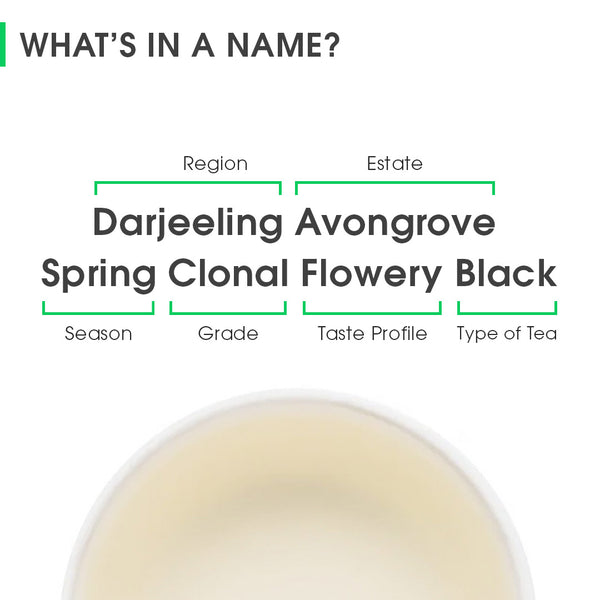 Darjeeling Avongrove Spring Clonal Flowery Black (Signature Series)