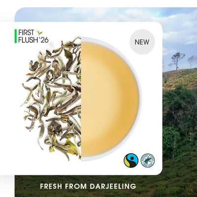 Darjeeling Badamtam Spring Moonlight White (Limited Edition)
