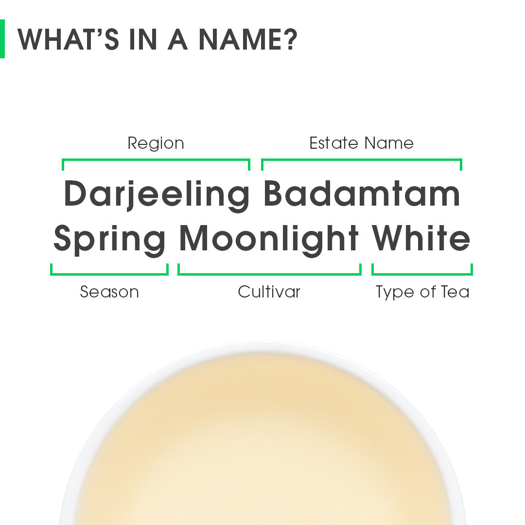 Darjeeling Badamtam Spring Moonlight White (Limited Edition)