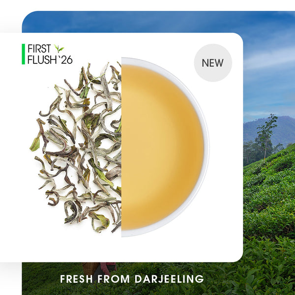 Darjeeling Exotic Moonlight White