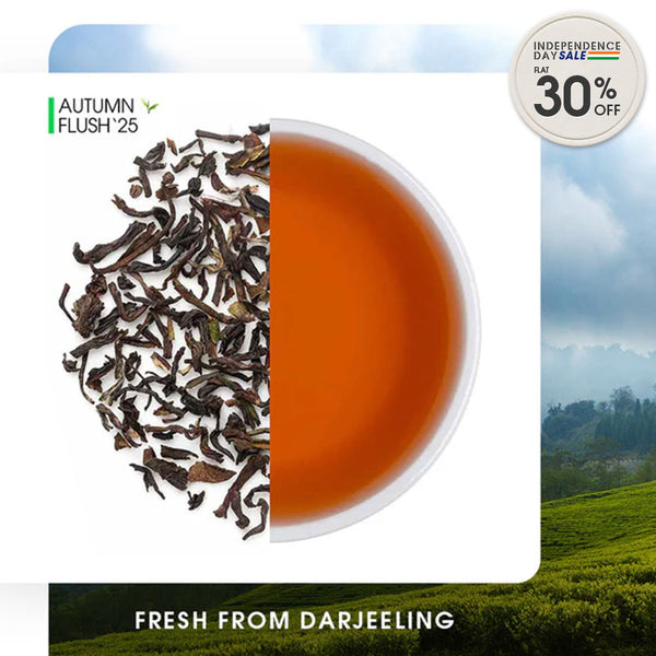 Darjeeling Giddapahar Autumn Chinary Black