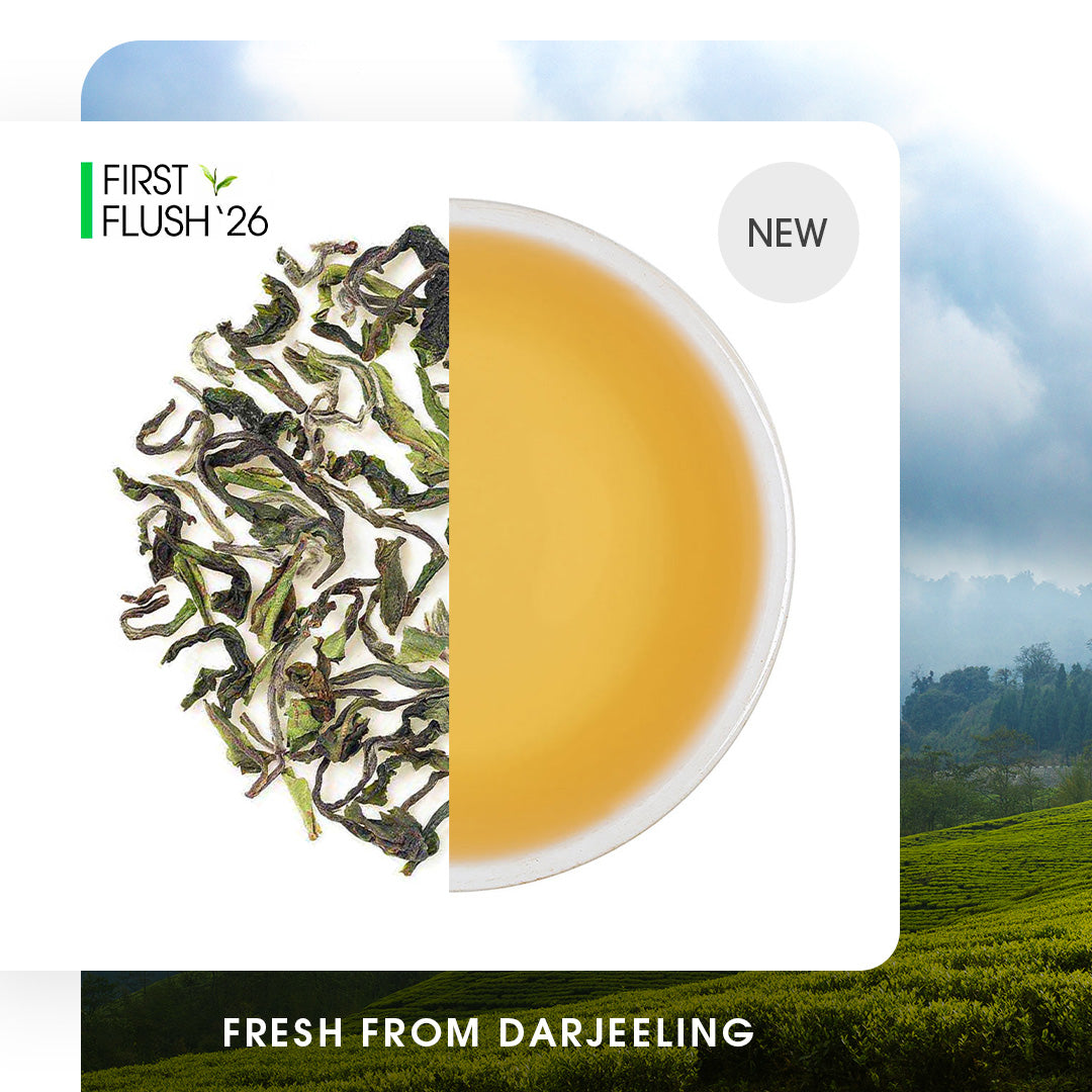 Buy 2026 Darjeeling Giddapahar Spring Chinary Black Tea Online | Teabox