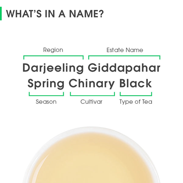 Darjeeling Giddapahar Spring Chinary Black