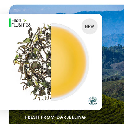 Darjeeling Giddapahar Spring Clonal Black (Limited Edition)