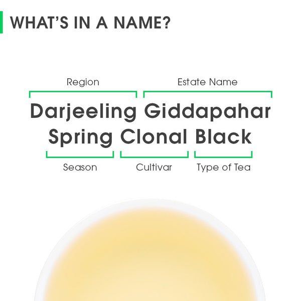 Darjeeling Giddapahar Spring Clonal Black (Limited Edition)