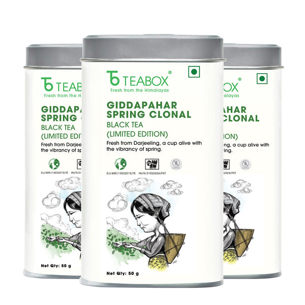Darjeeling Giddapahar Spring Clonal Black (Limited Edition)
