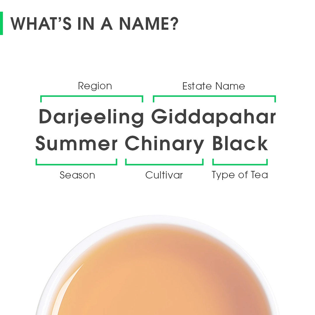 Darjeeling Giddapahar Summer Chinary Black