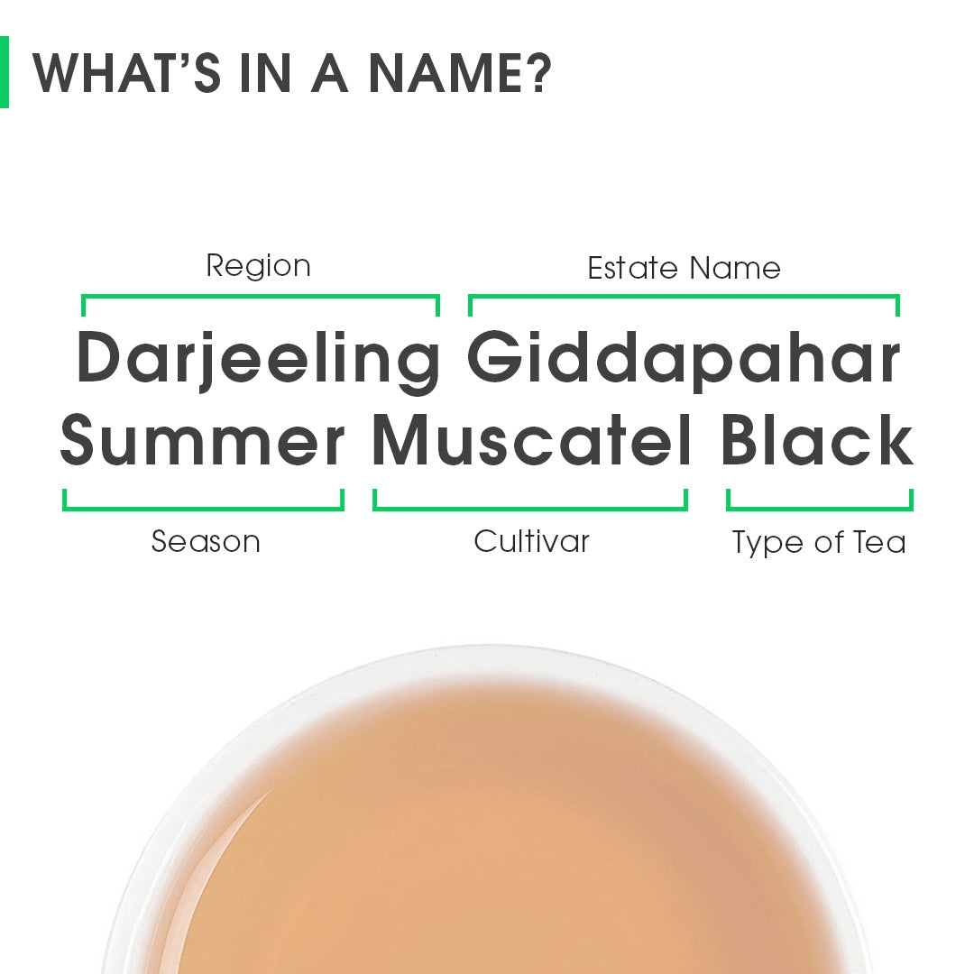 Darjeeling Giddapahar Summer Muscatel Black