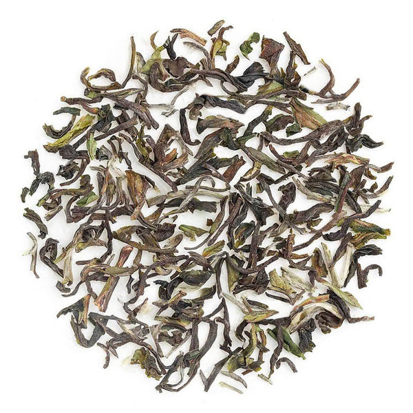 Darjeeling Jungpana Spring Chinary Black