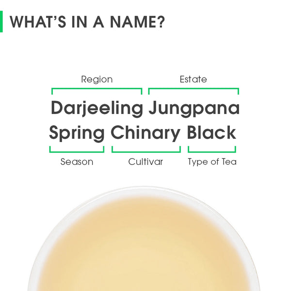 Darjeeling Jungpana Spring Chinary Black