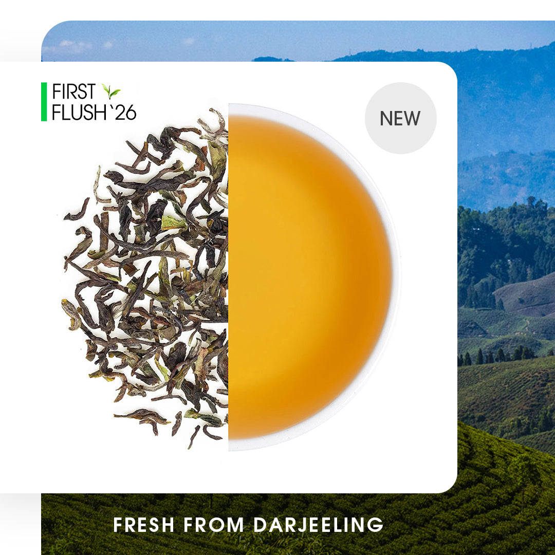 Darjeeling Margaret's Hope Spring Chinary Black