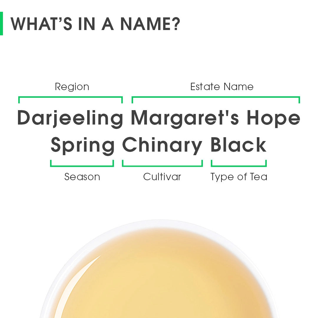 Darjeeling Margaret's Hope Spring Chinary Black