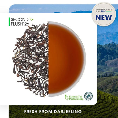 Darjeeling Margaret's Hope Summer Chinary Black