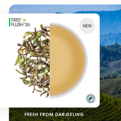 Darjeeling Puttabong Spring Clonal Black