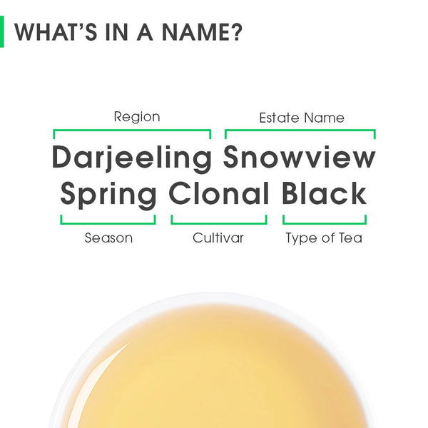 Darjeeling Snowview Spring Clonal Black