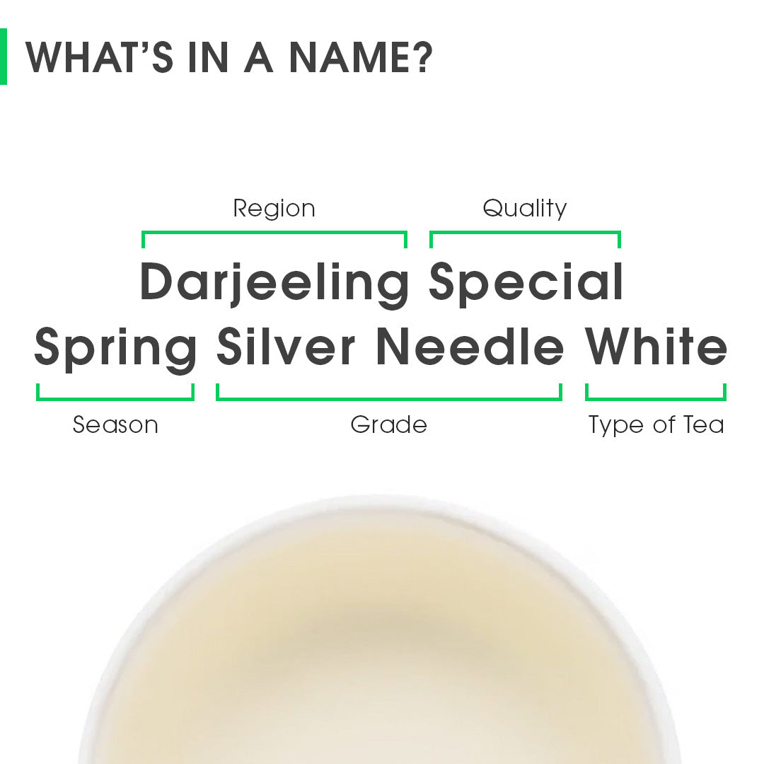 Darjeeling Special Spring Silver Needle White