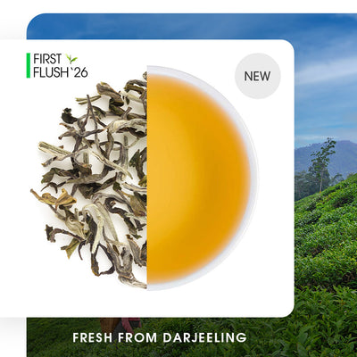 Darjeeling Special Spring White