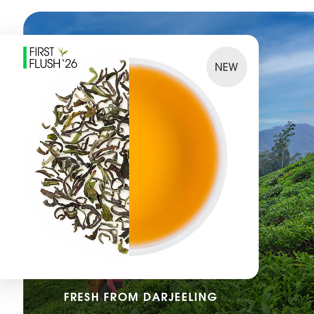Darjeeling Spring Chinary Black