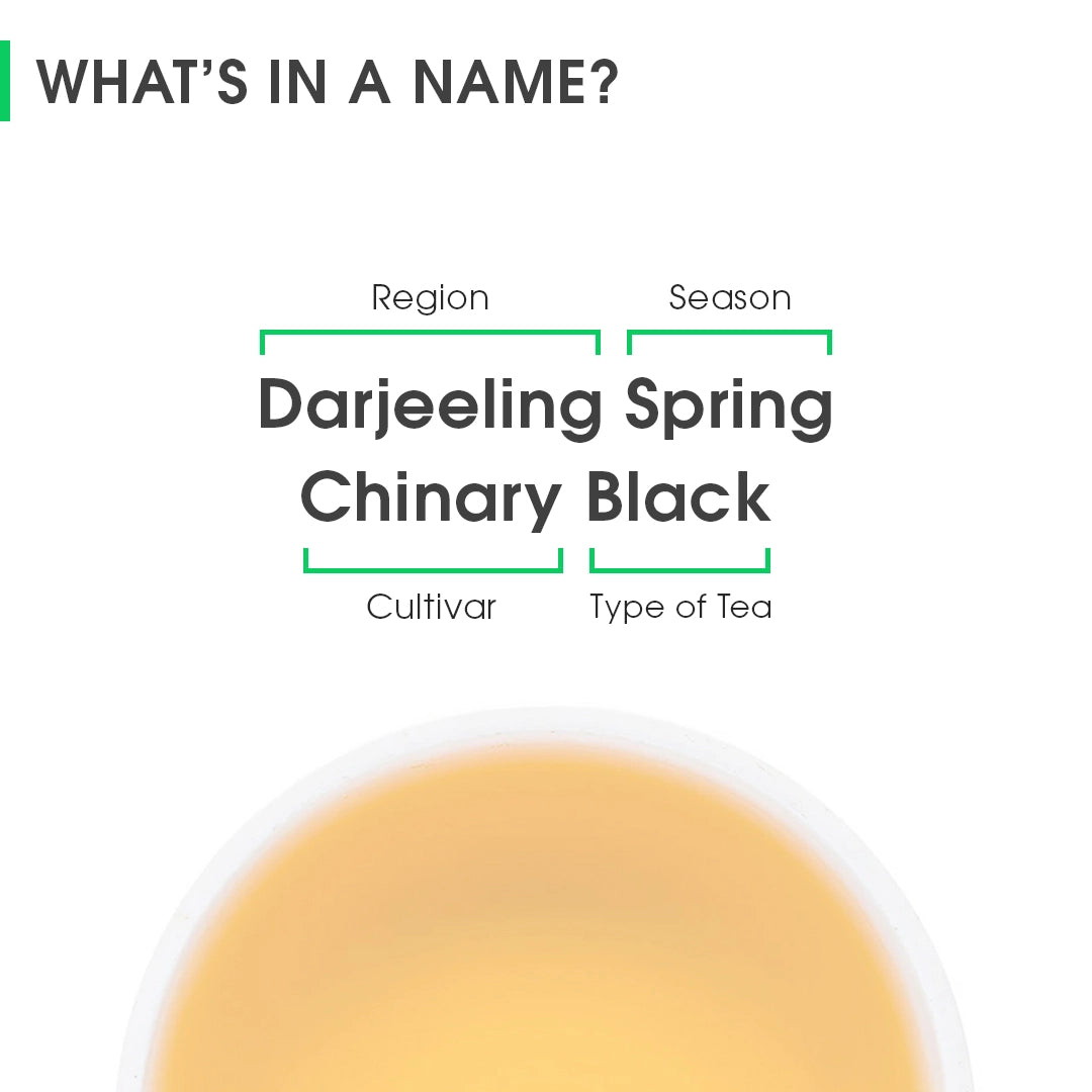 Darjeeling Spring Chinary Black