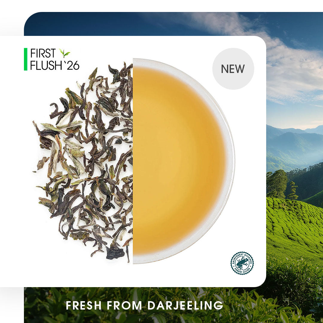 Darjeeling Thurbo Spring Chinary Black