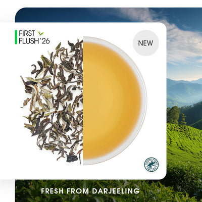Darjeeling Thurbo Spring Chinary Black