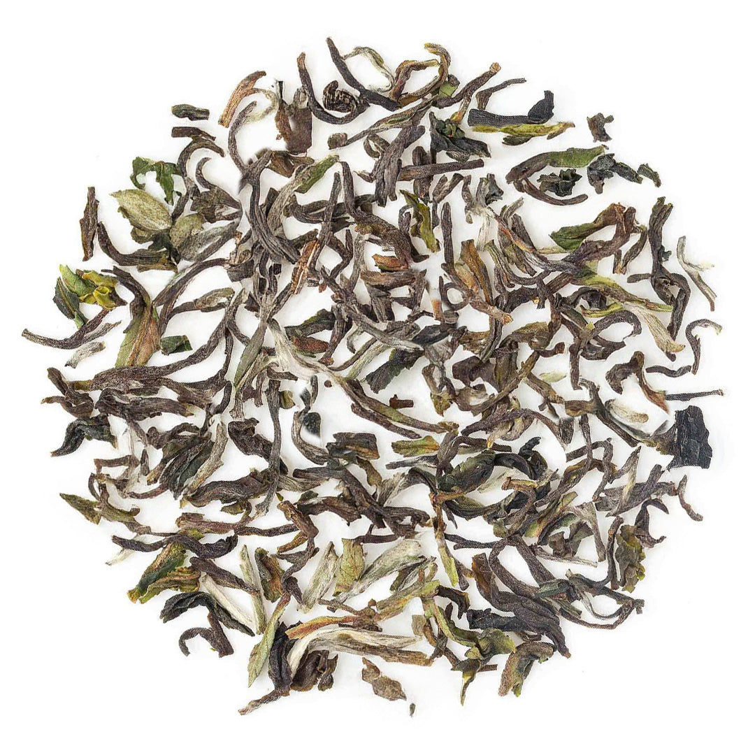 Darjeeling Thurbo Spring Chinary Black