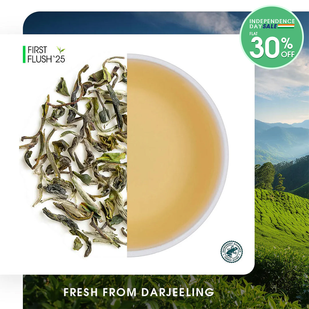 Darjeeling Thurbo Spring Moonlight White
