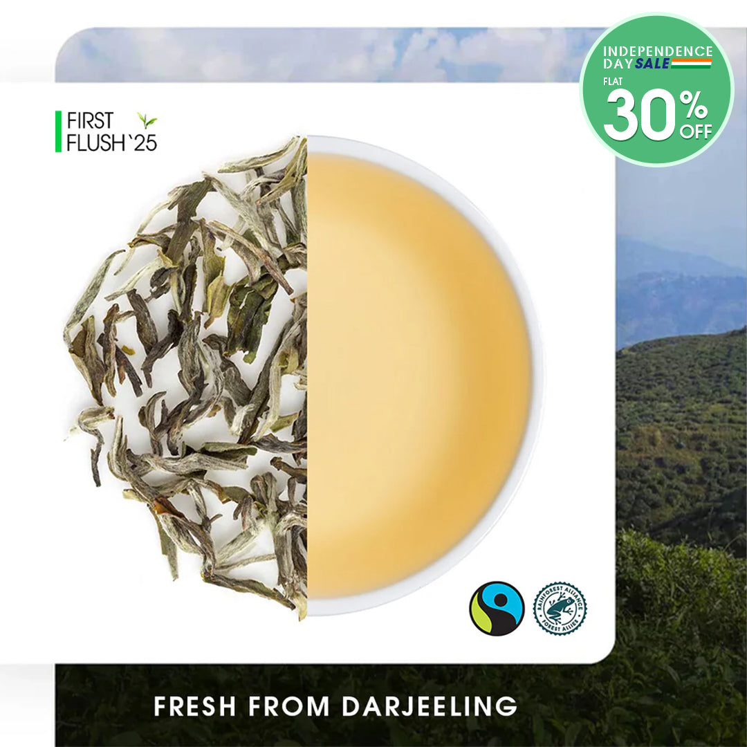 Darjeeling Turzum Spring Moonlight White