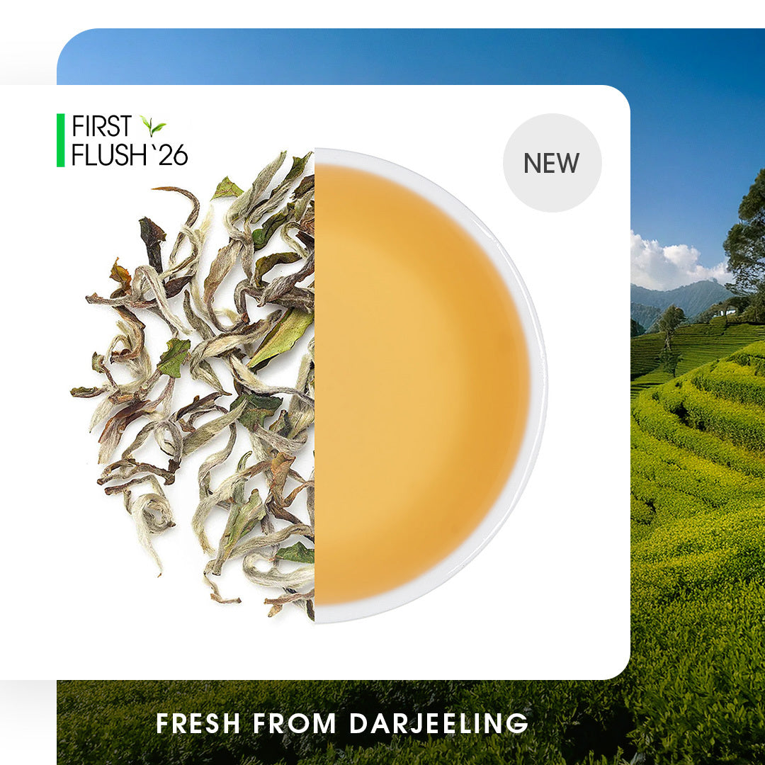 Darjeeling Upper Namring Spring Clonal Black (Limited Edition)