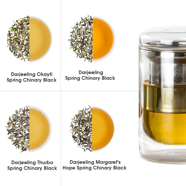 Darjeeling & Assam Whole Leaf Tea Trial Pack (Free Infuser Mug & Teaspoon)
