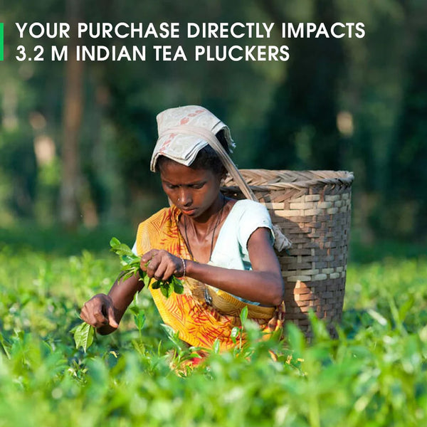 Irish Breakfast Black