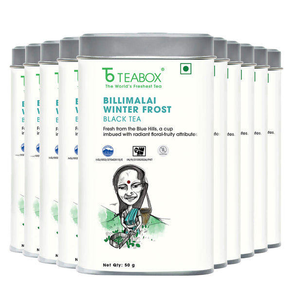 Nilgiri Billimalai Winter Frost Black