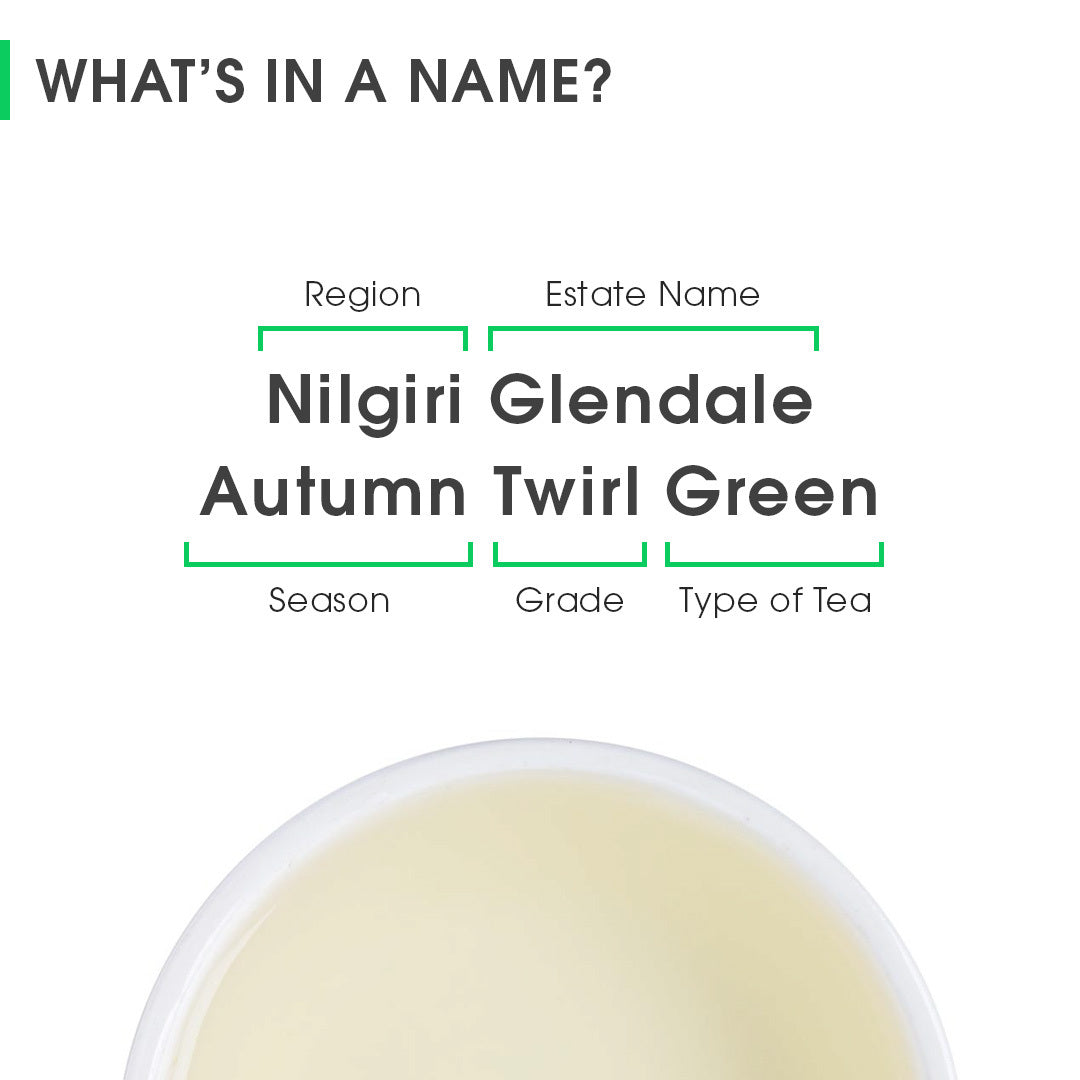 Nilgiri Glendale Autumn Twirl Green