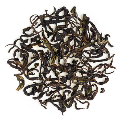 Nilgiri Glendale Winter Frost Twirl Black