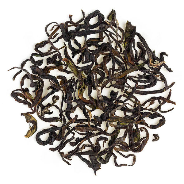 Nilgiri Glendale Winter Frost Twirl Black